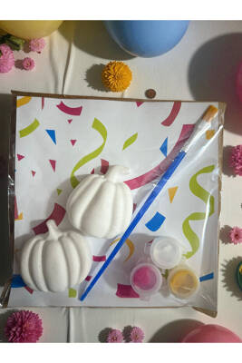 Bal Kabağı Taş Boyama Seti, dıy, kendin Yap, doğum Günü Hediyesi 6 Adet  - 2