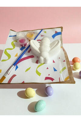 Taş Boyama Seti, Kendin Yap, Doğum Günü Hediyesi Kelebek, Arı, Uğur Böceği, Yusufcuk 10 Adet  - 2