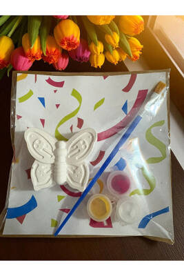 Taş Boyama Seti, Kendin Yap, Doğum Günü Hediyesi Kelebek, Arı, Uğur Böceği, Yusufcuk 10 Adet  - 4