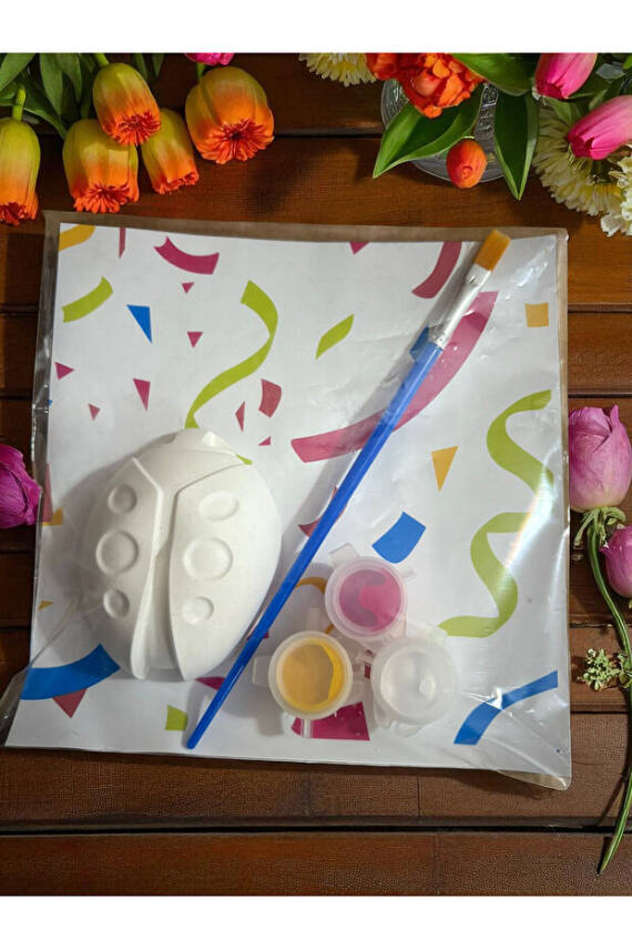 Taş Boyama Seti, Kendin Yap, Doğum Günü Hediyesi Kelebek, Arı, Uğur Böceği, Yusufcuk 10 Adet  - 5