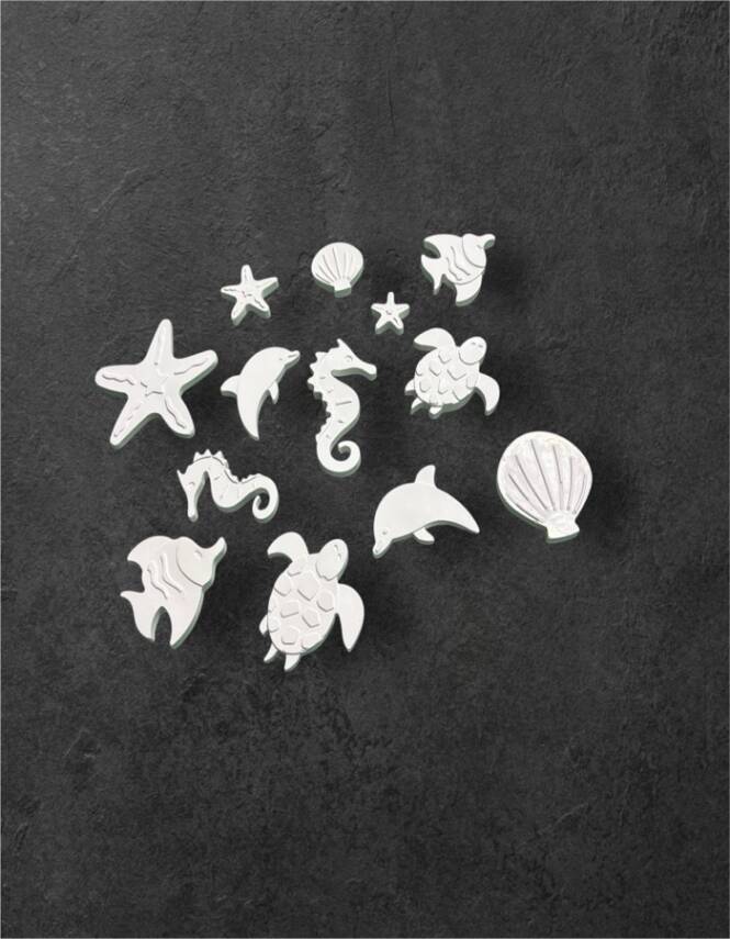 Taş Tozundan El Yapımı Deniz Canlıları Boyama Seti – 6 Renk Boya & Fırça | Çocuk Boyama Seti - 6