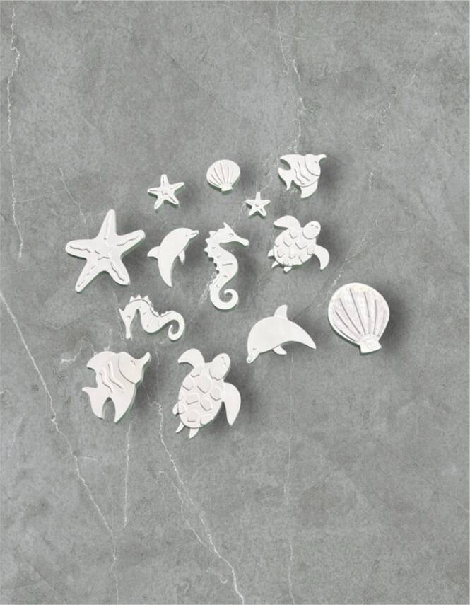 Taş Tozundan El Yapımı Deniz Canlıları Boyama Seti – 6 Renk Boya & Fırça | Çocuk Boyama Seti - 5